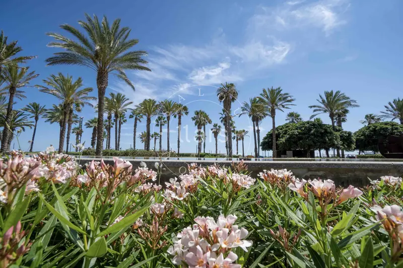 Zona de Salou – foto 4